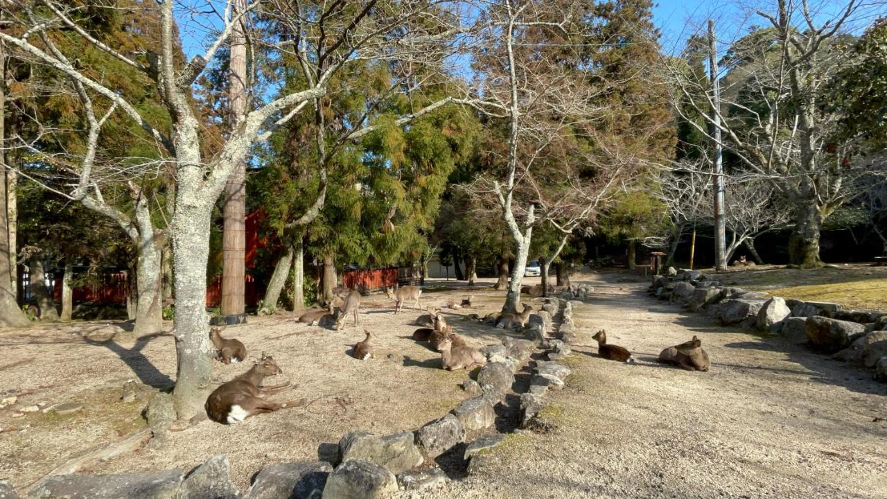 Hotel Miyajima Morinoyado Hatsukaichi Exterior foto